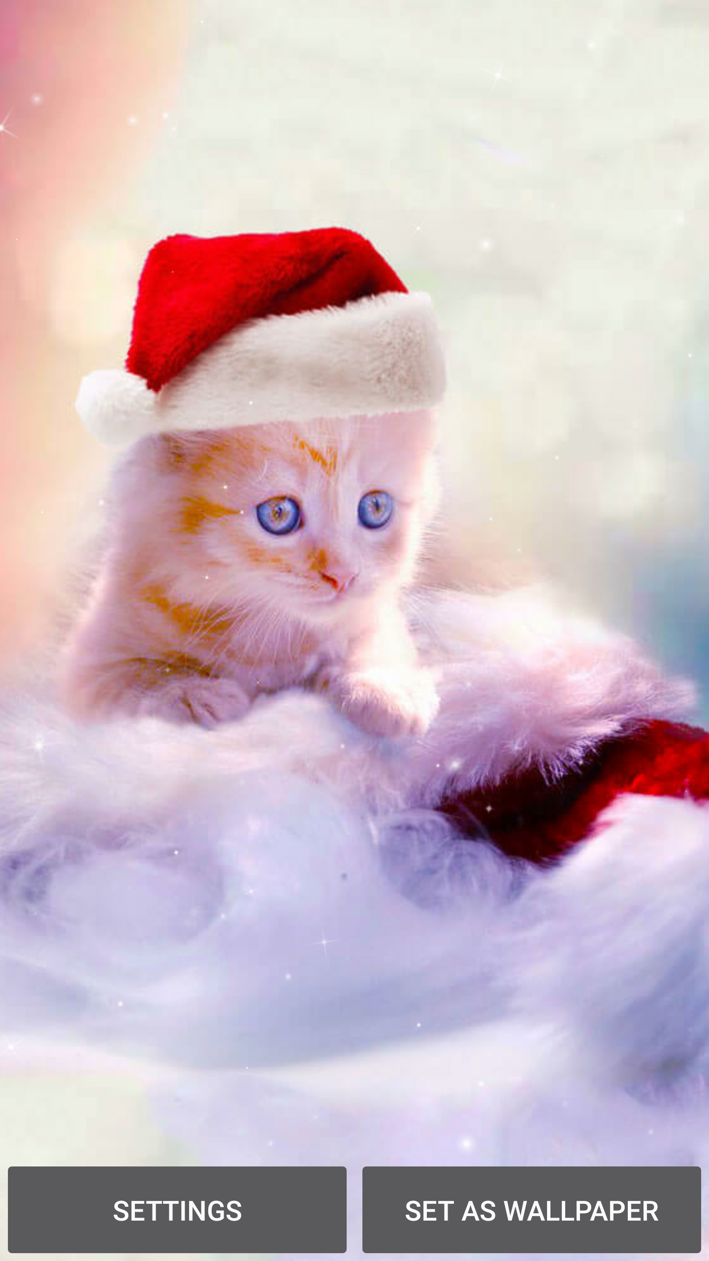 Christmas Kittens Wallpapers