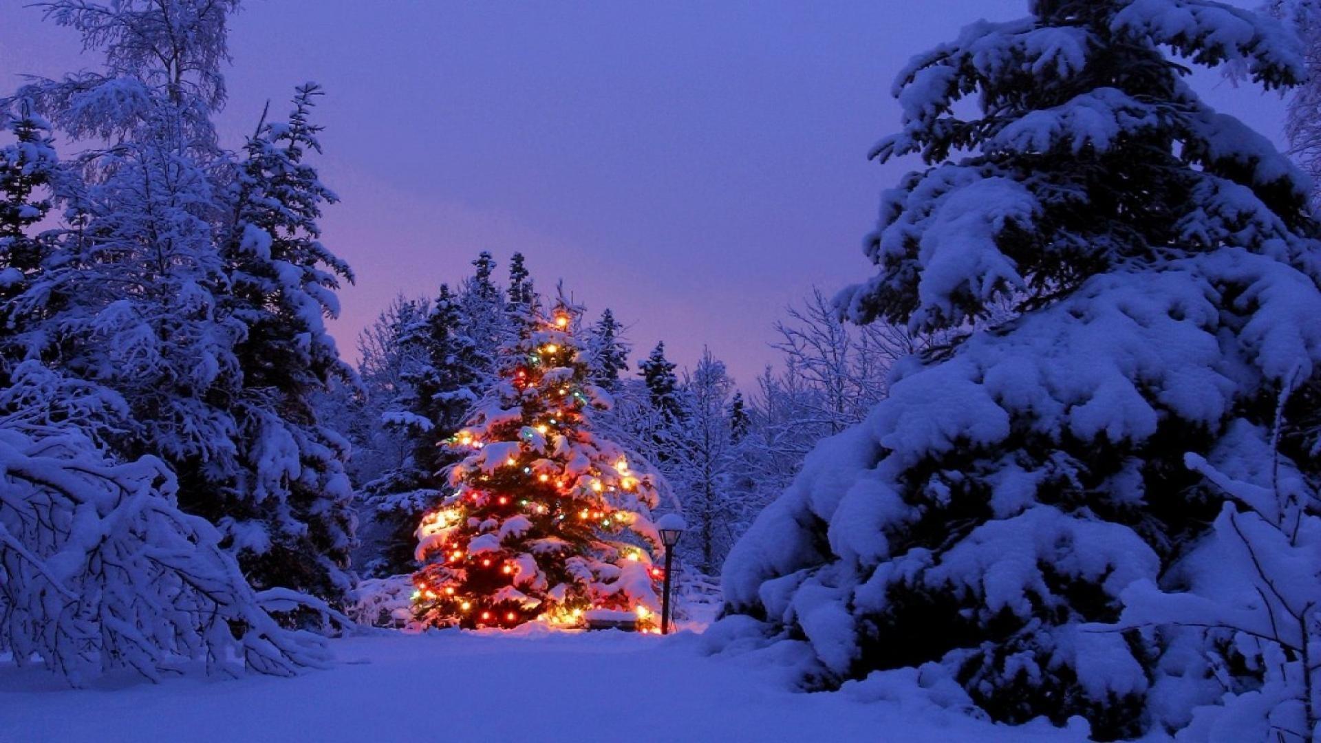 Christmas Landscape Wallpapers