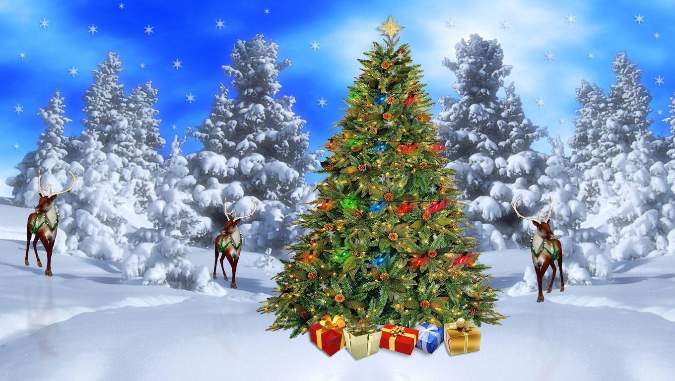 Christmas Landscape Wallpapers