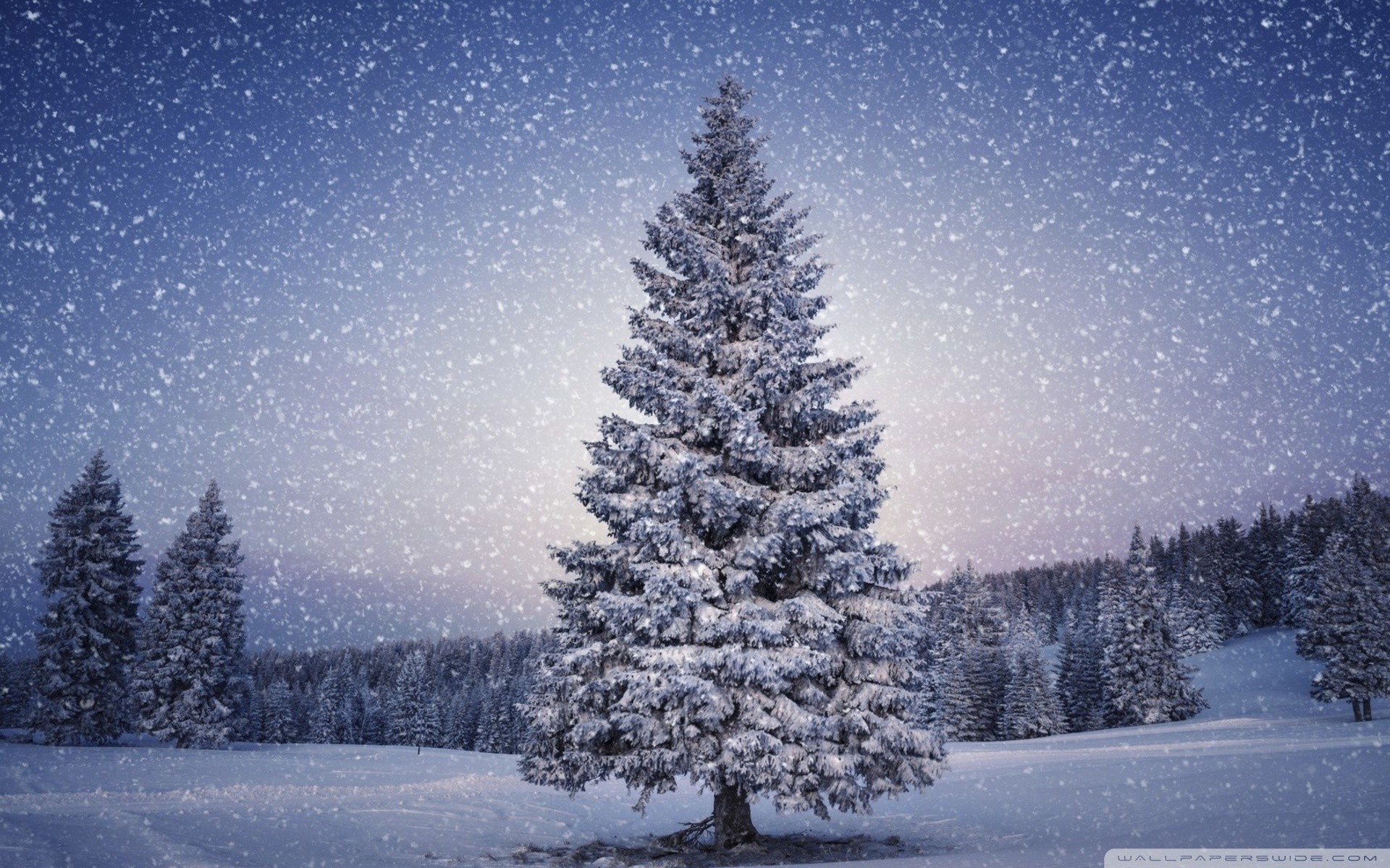 Christmas Landscape Wallpapers