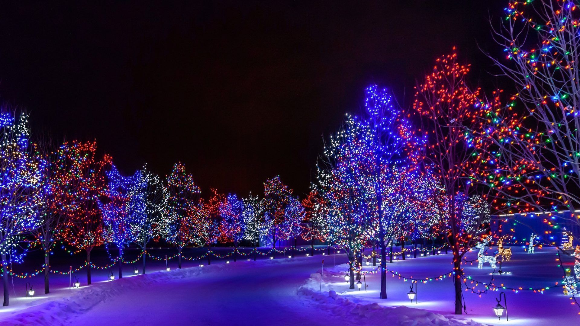 Christmas Light Snow Wallpapers