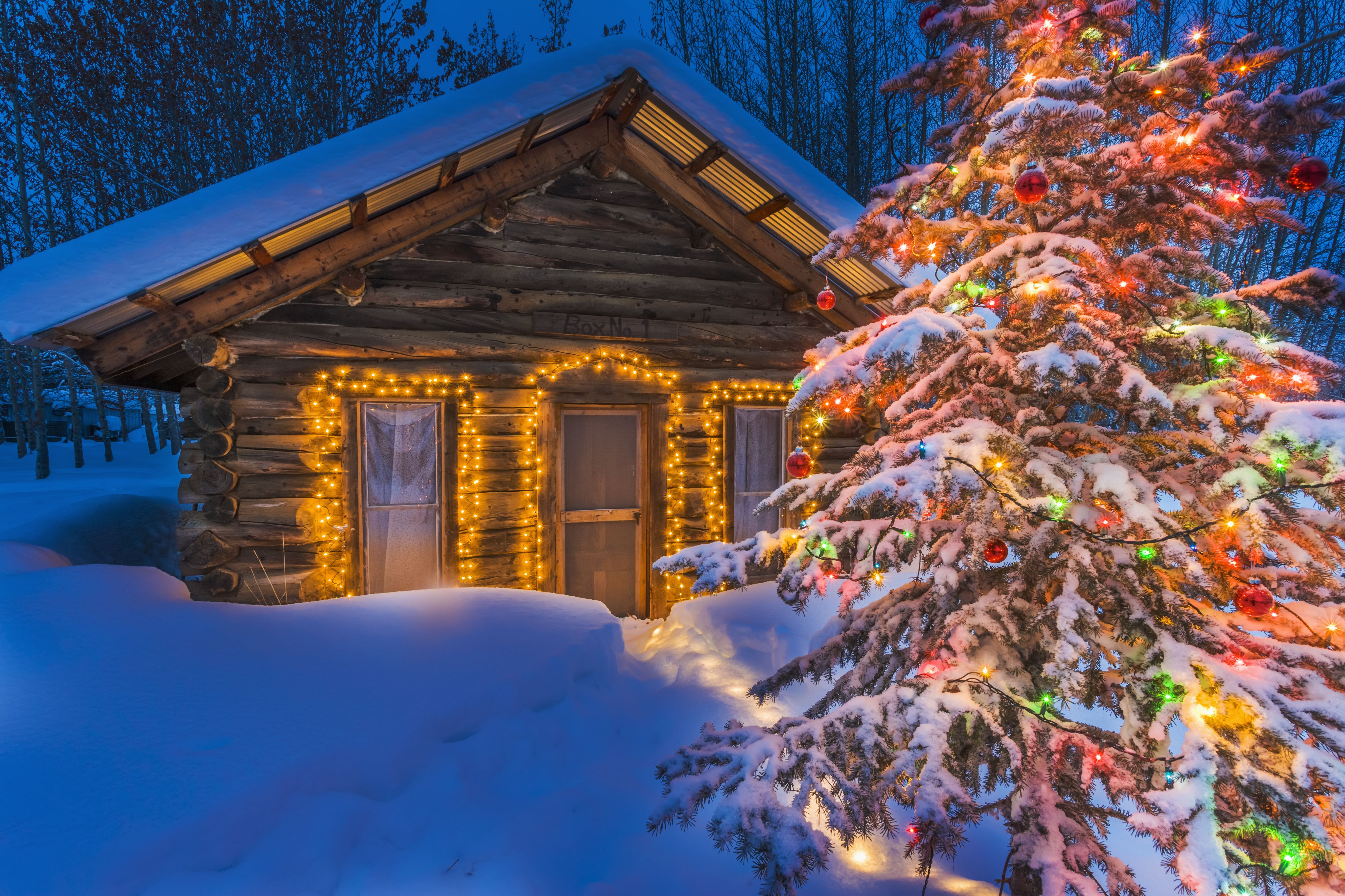 Christmas Lighted Tree Outside Winter Cabin Wallpapers