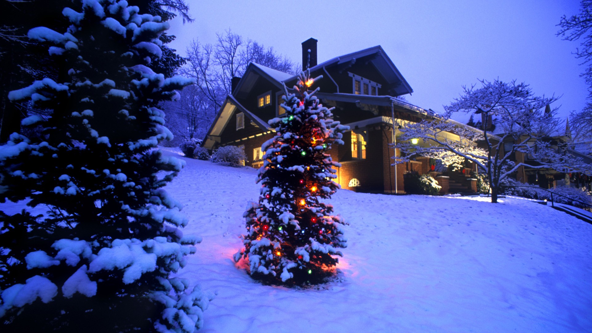 Christmas Lighted Tree Outside Winter Cabin Wallpapers