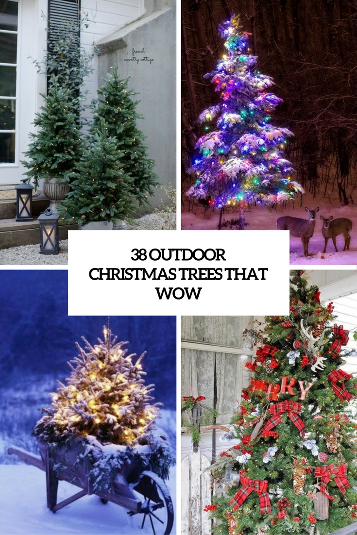 Christmas Lighted Tree Outside Winter Cabin Wallpapers