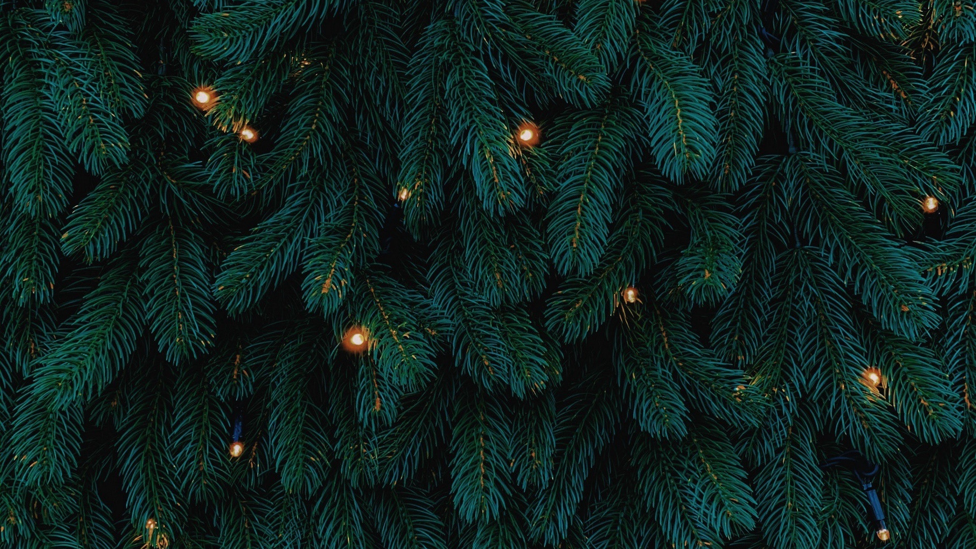 Christmas Lights 1920X1080 Wallpapers