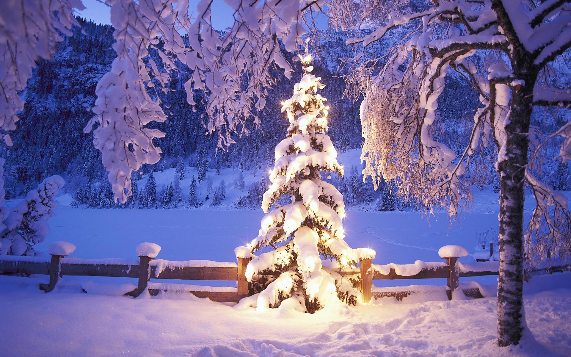 Christmas Lights Snow Wallpapers