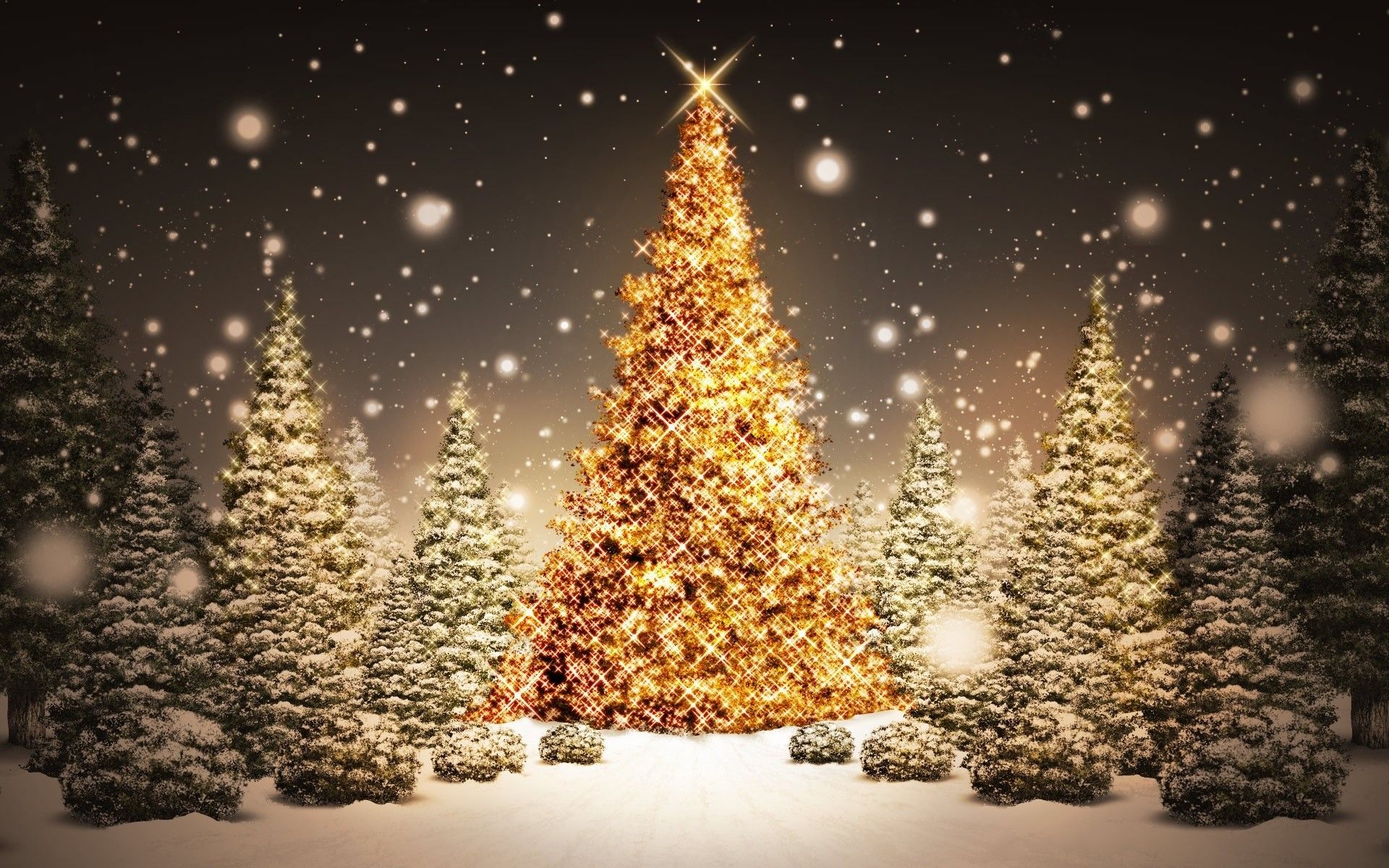 Christmas Lights Snow Wallpapers