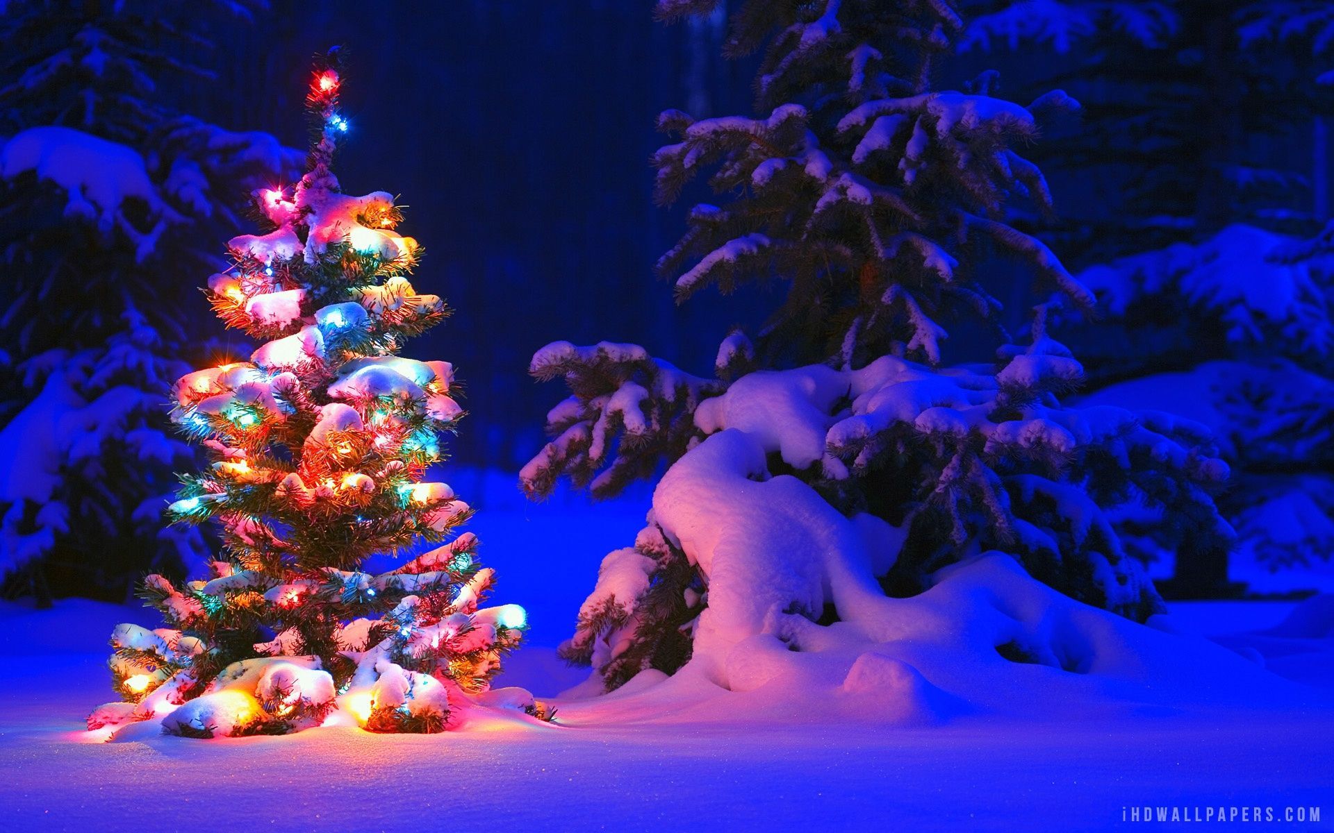 Christmas Lights Snow Wallpapers