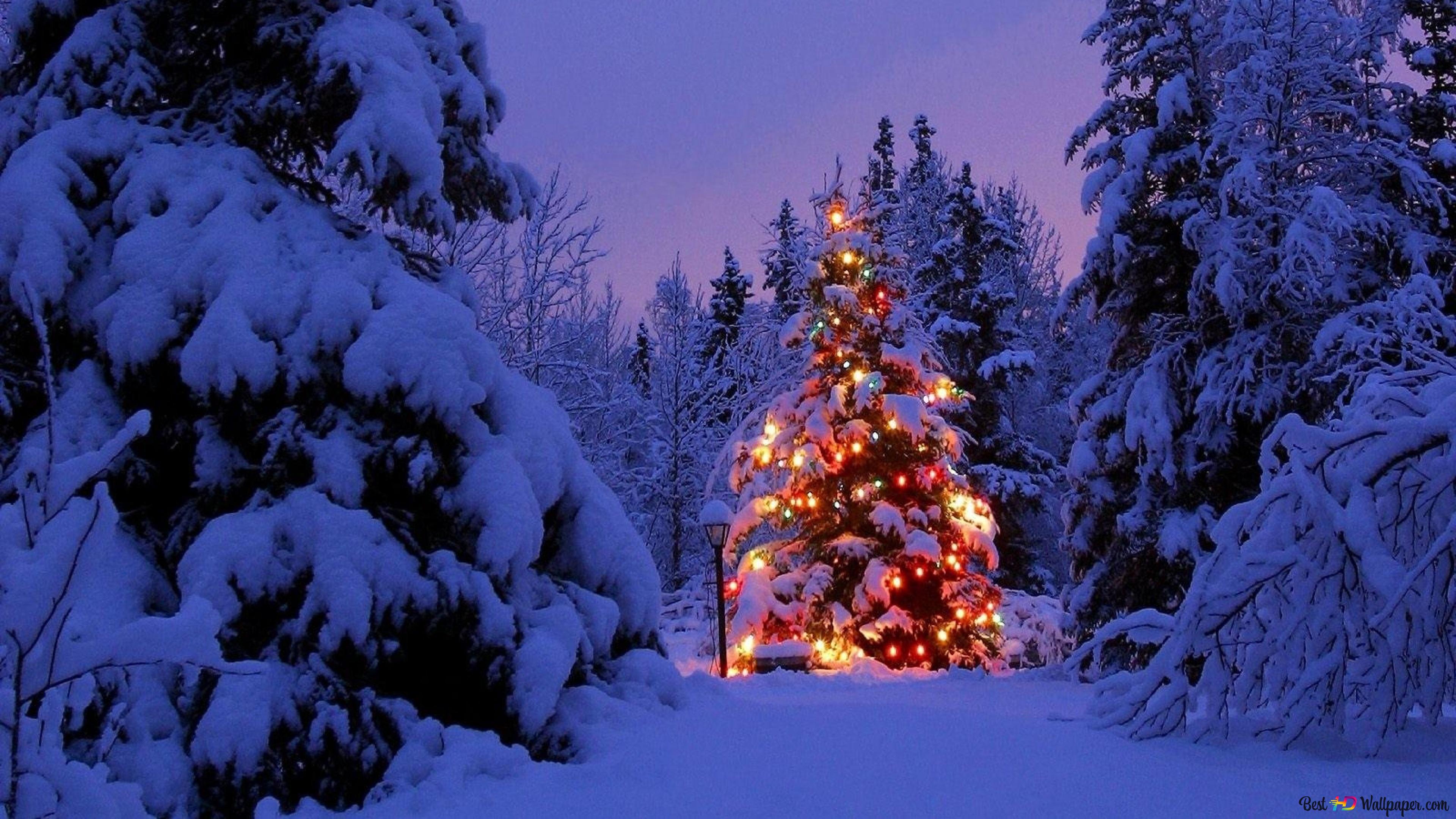 Christmas Lights Snow Wallpapers