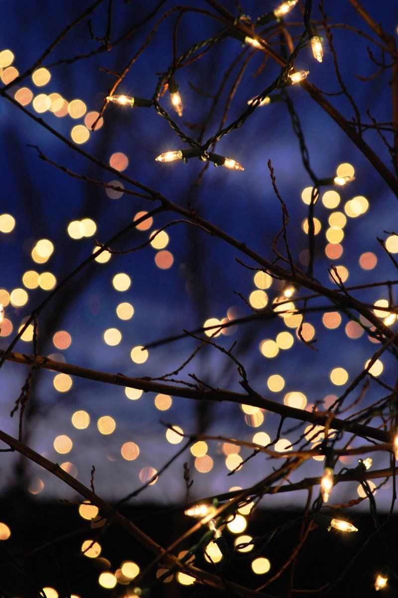 Christmas Lights Tumblr Cute Wallpapers