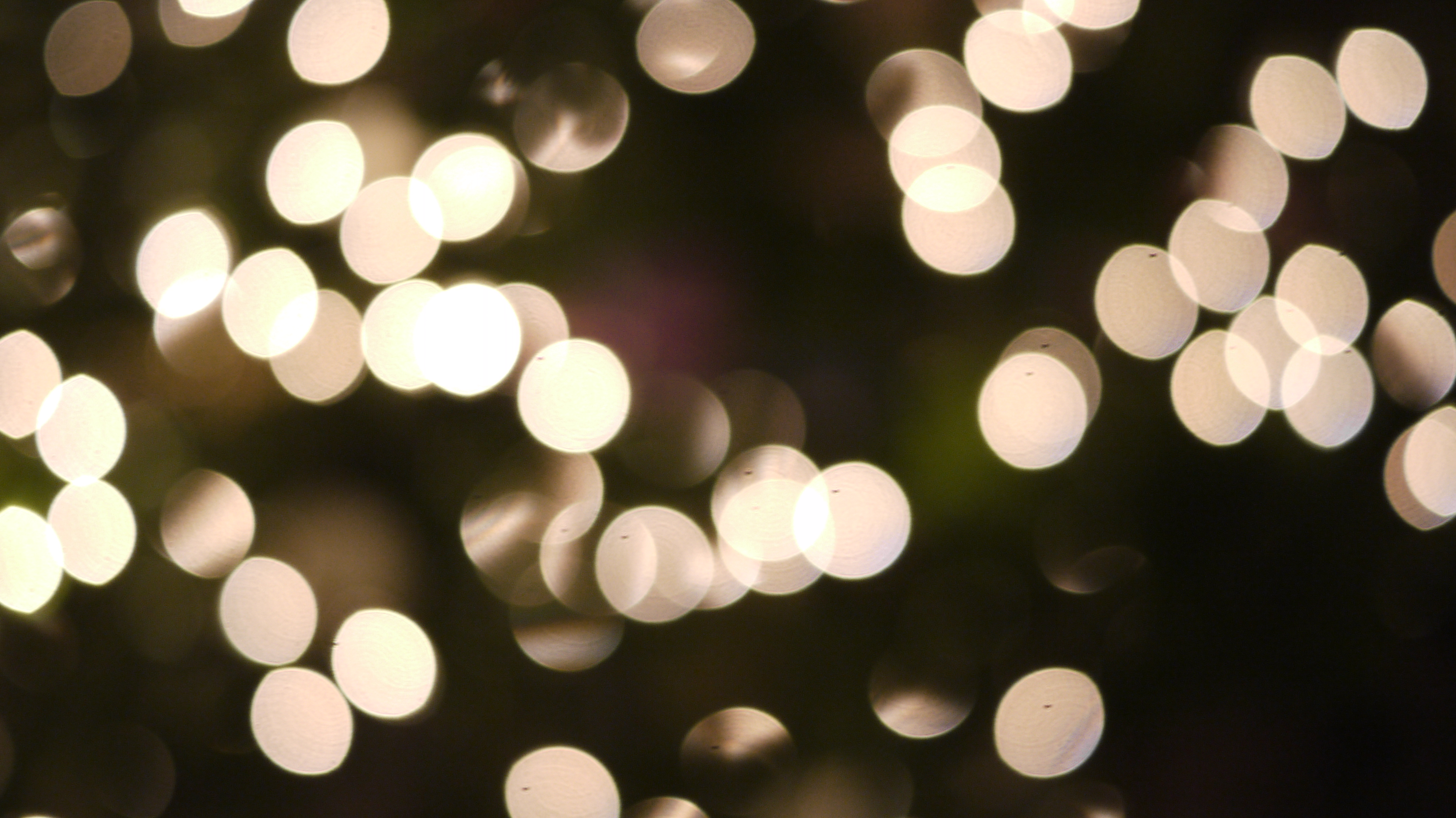 Christmas Lights White Wallpapers