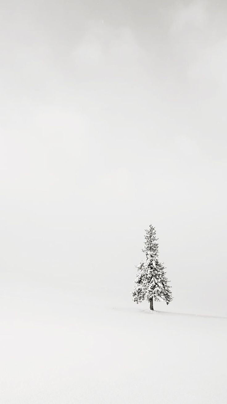 Christmas Minimalist Wallpapers