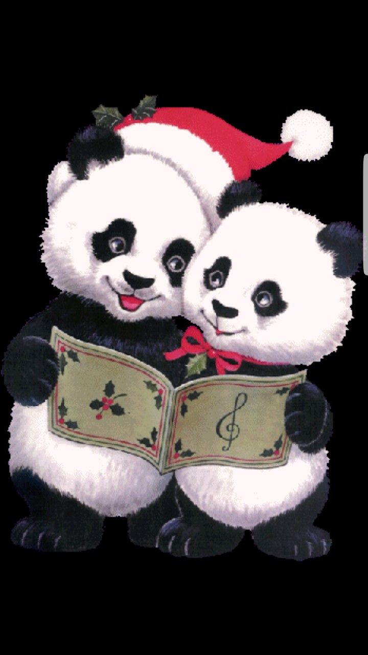 Christmas Panda Wallpapers