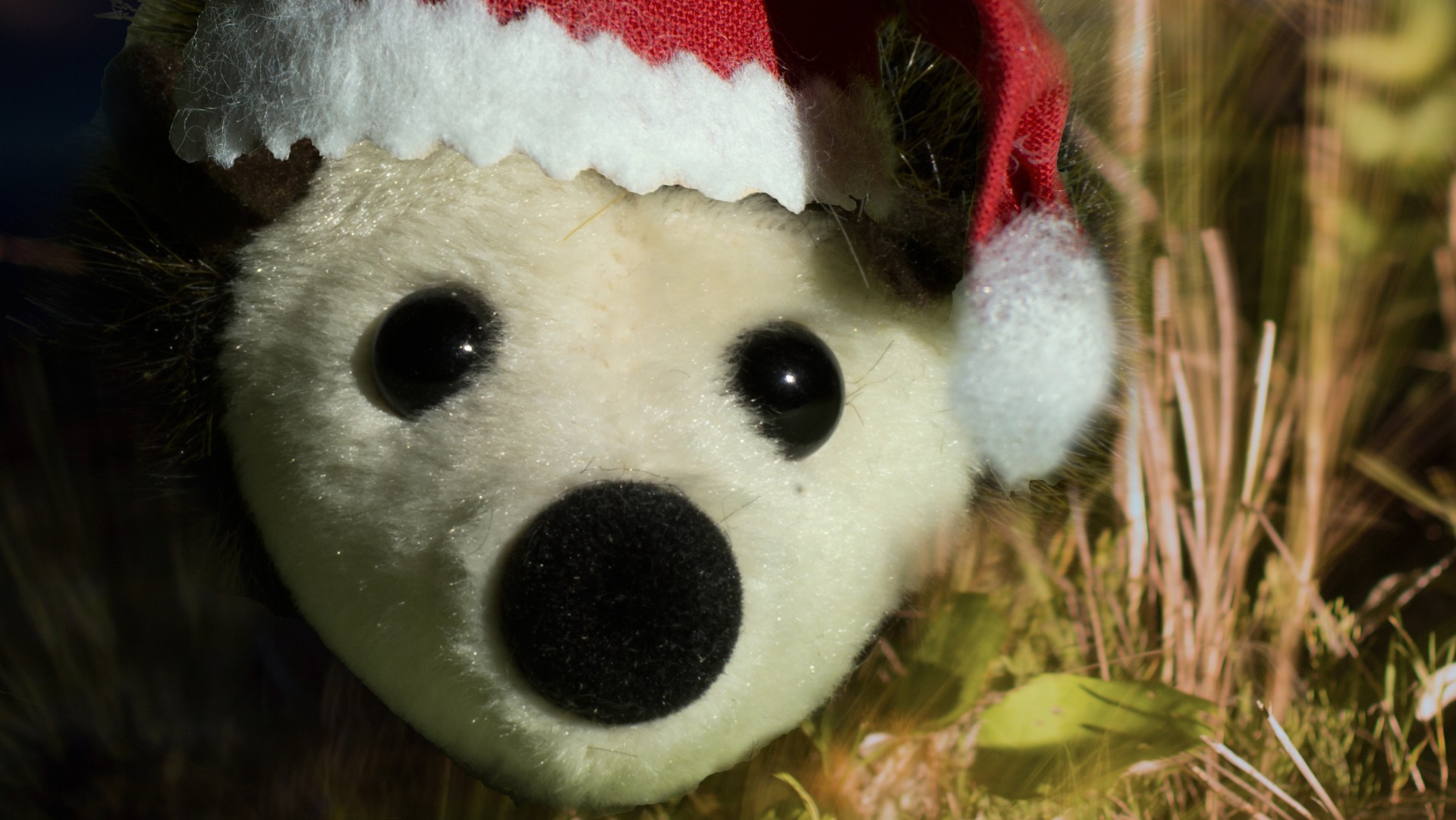 Christmas Panda Wallpapers