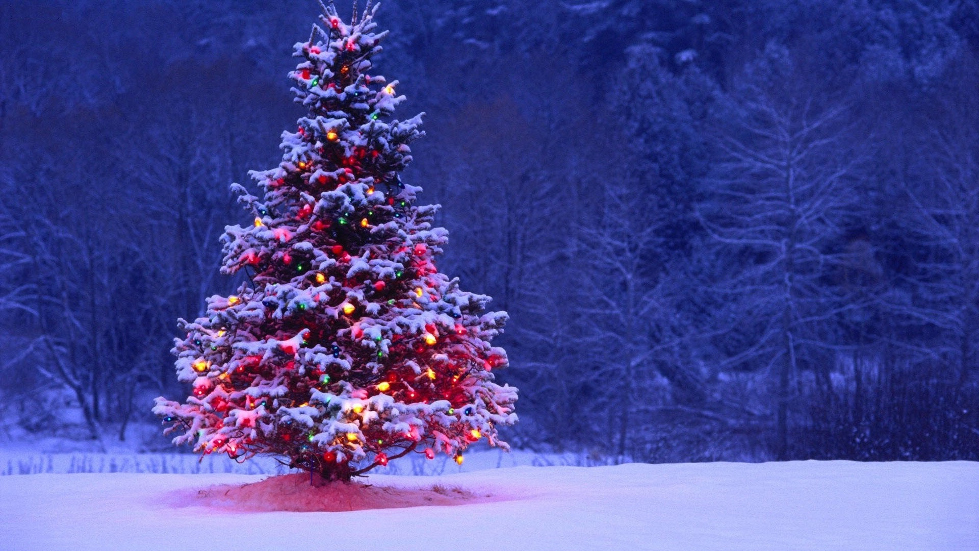 Christmas Pictures Snow Wallpapers