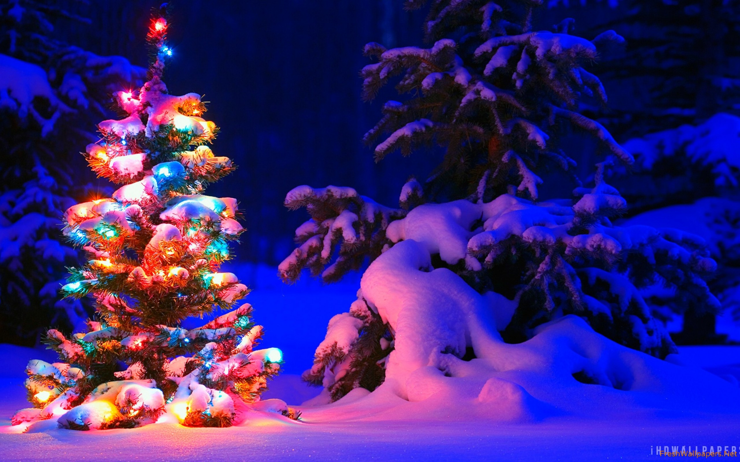 Christmas Pictures Snow Wallpapers