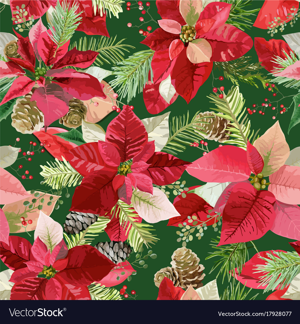 Christmas Poinsettia Wallpapers