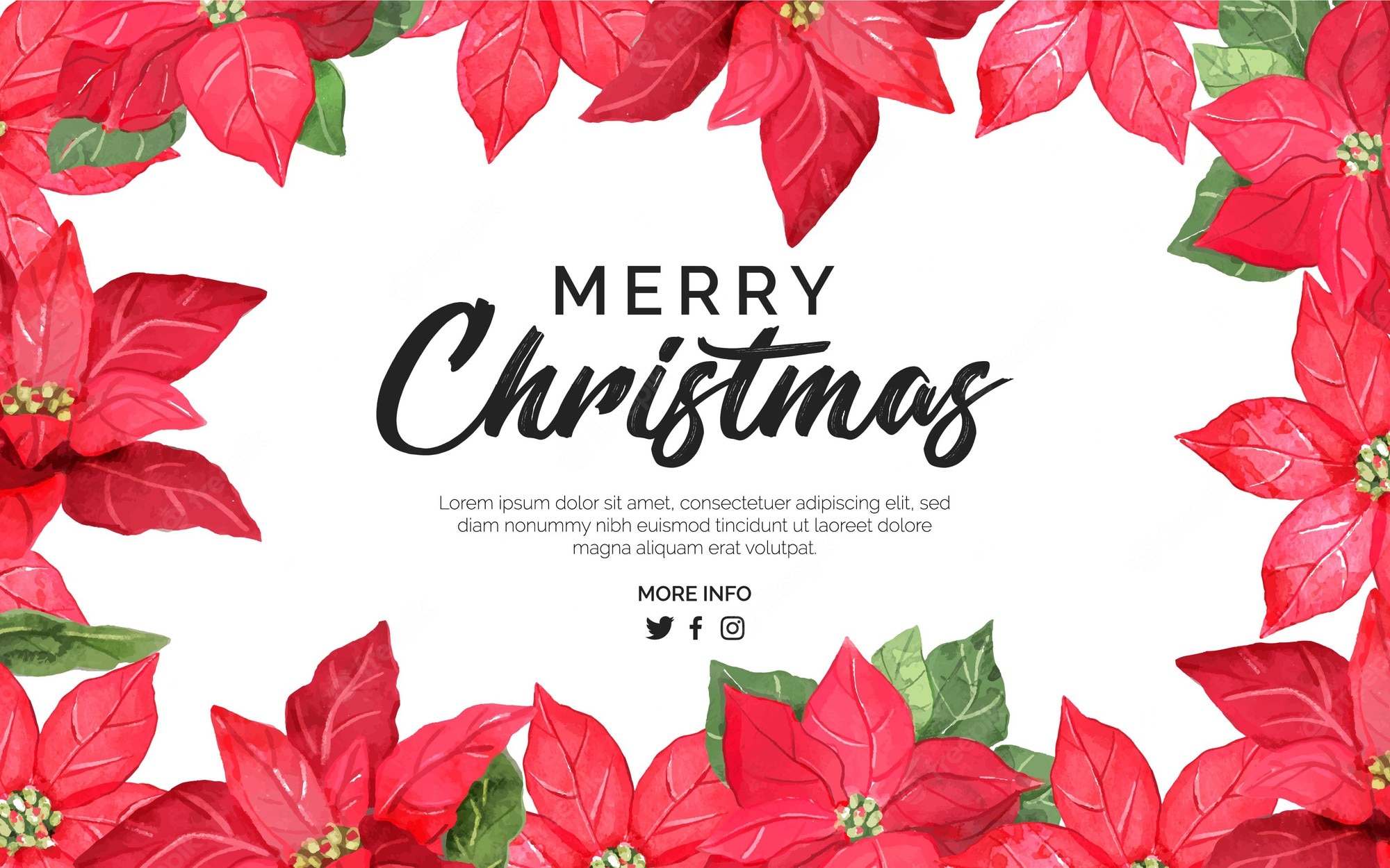 Christmas Poinsettia Wallpapers