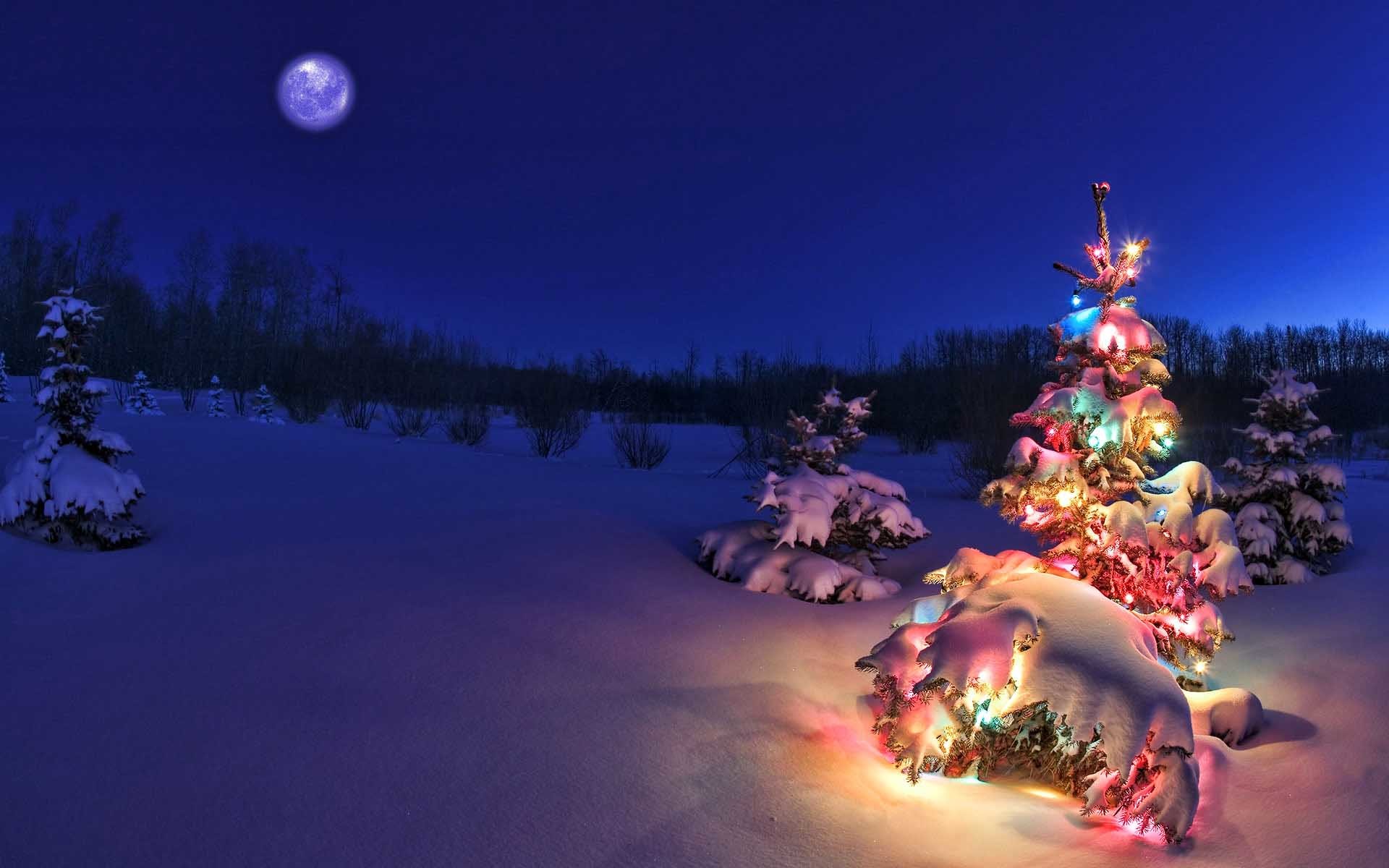 Christmas Scenes Wallpapers