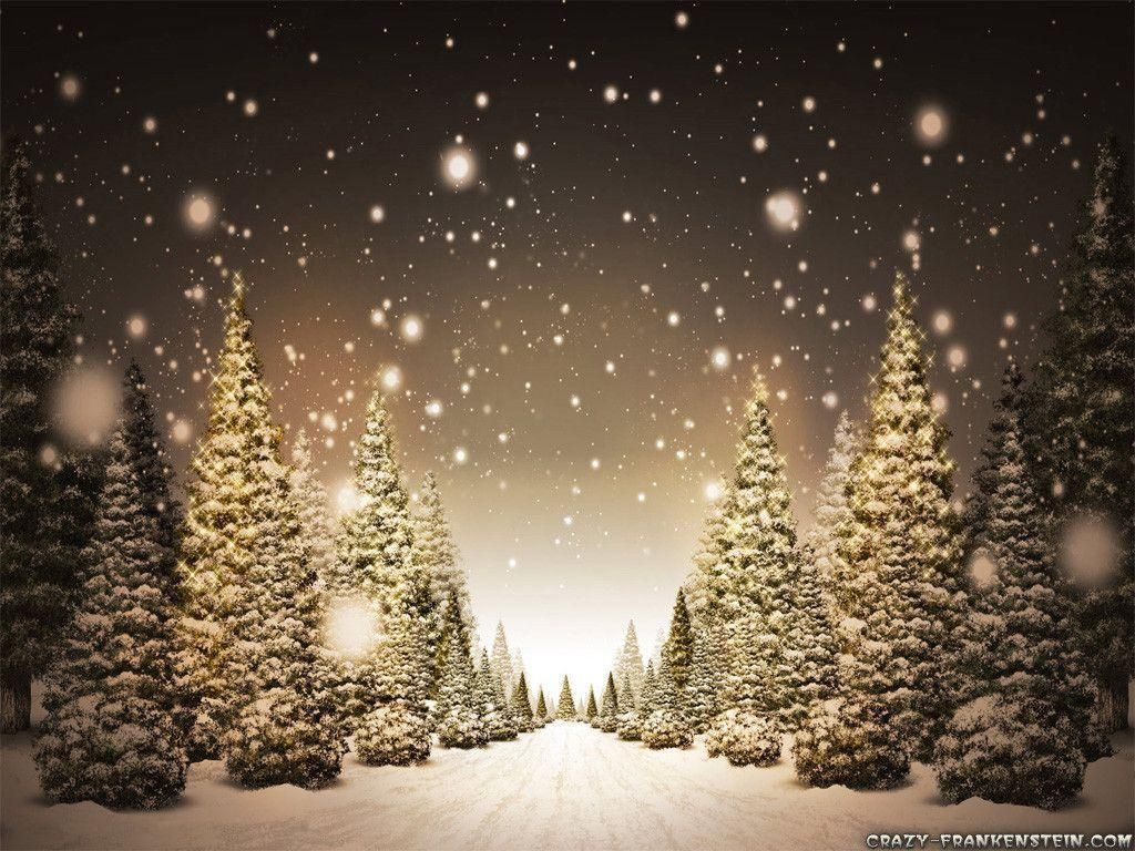 Christmas Snow Scene Wallpapers