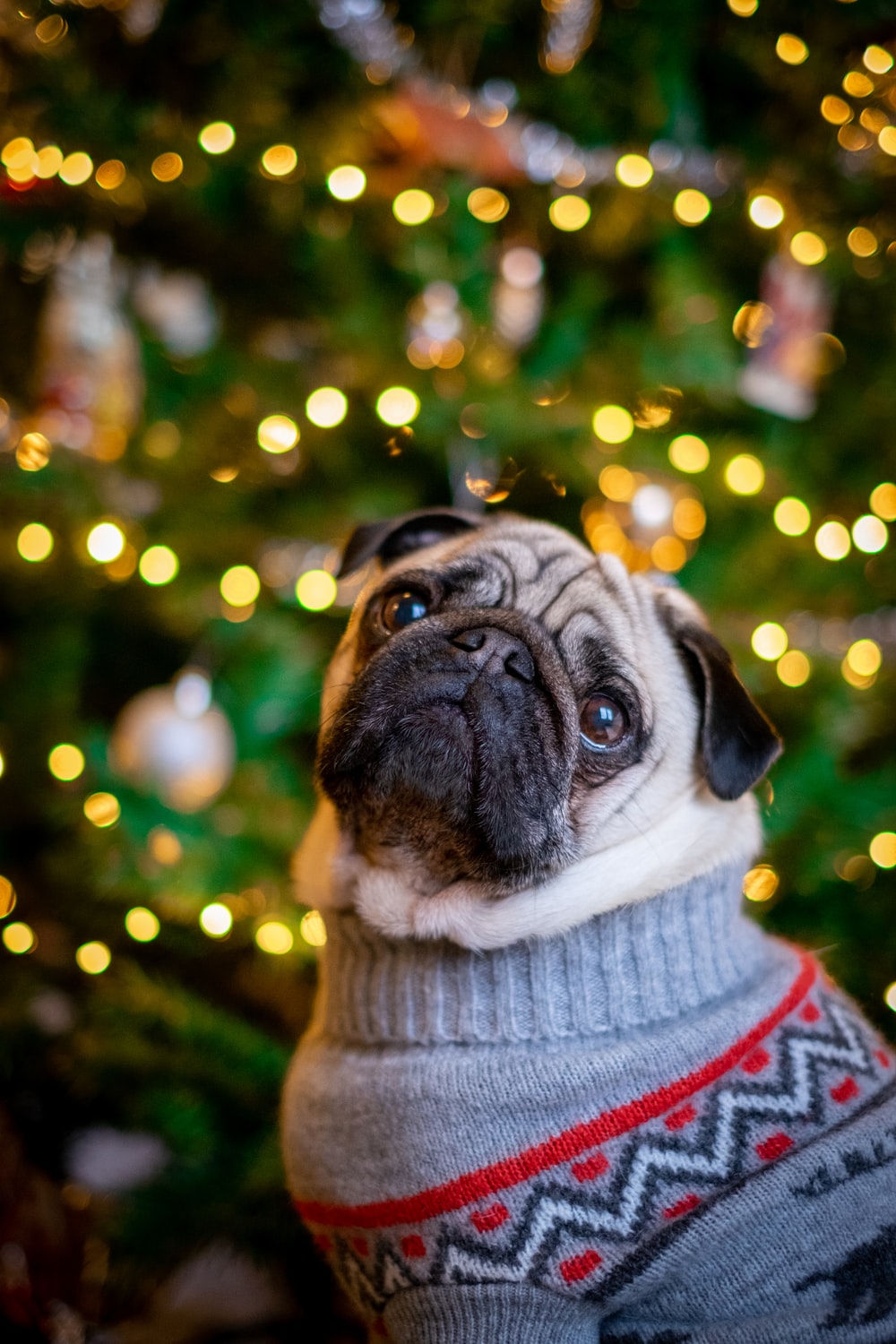 Christmas Sweater Tumblr Wallpapers