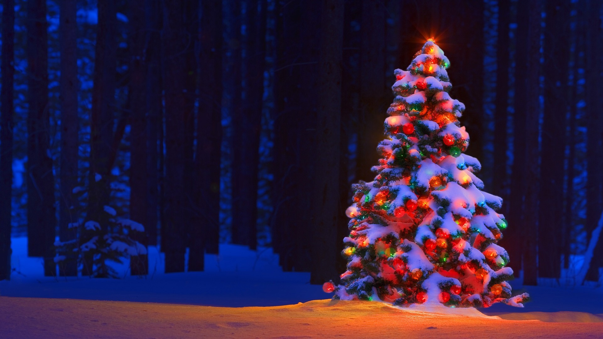 Christmas Tree Desktop Wallpapers