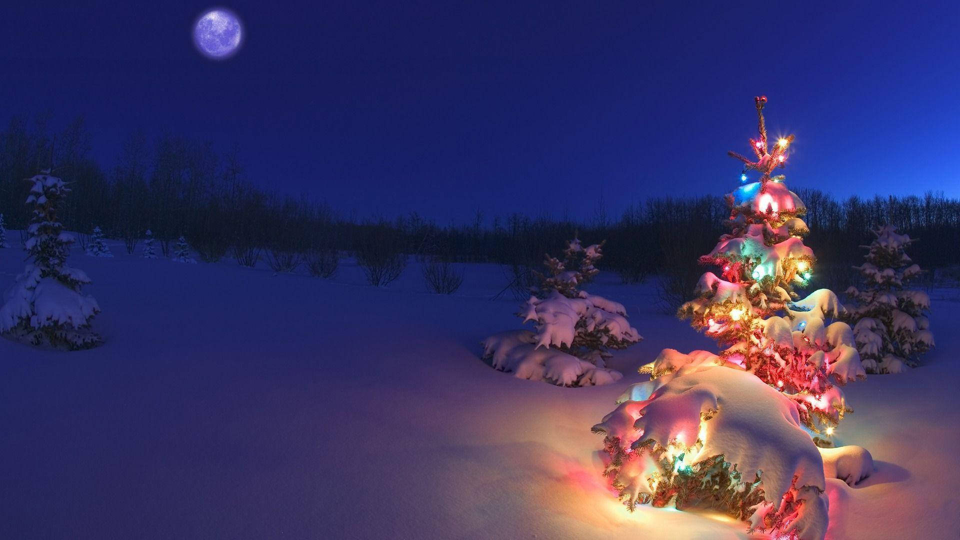 Christmas Tree Desktop Wallpapers