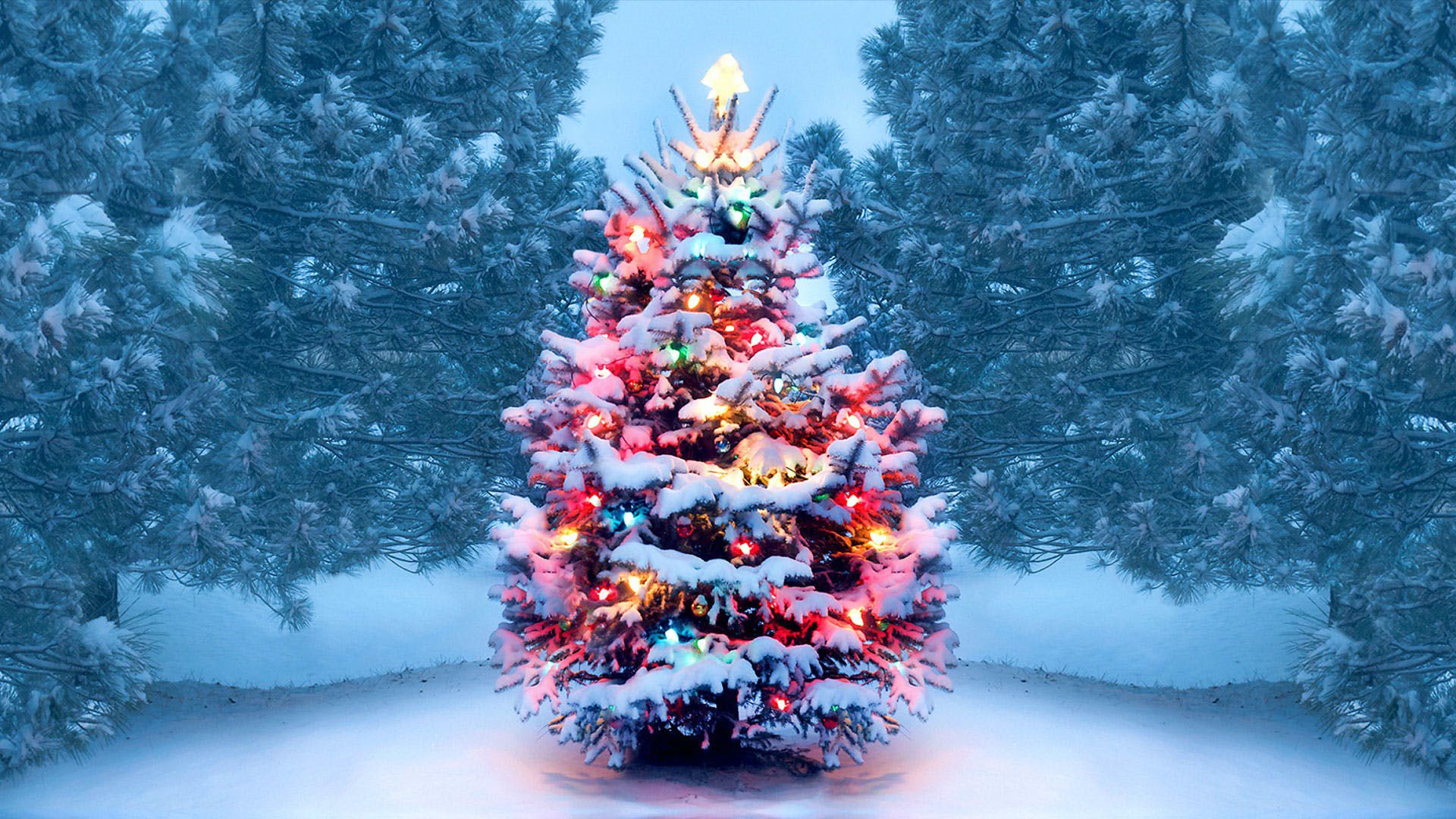 Christmas Tree Desktop Wallpapers