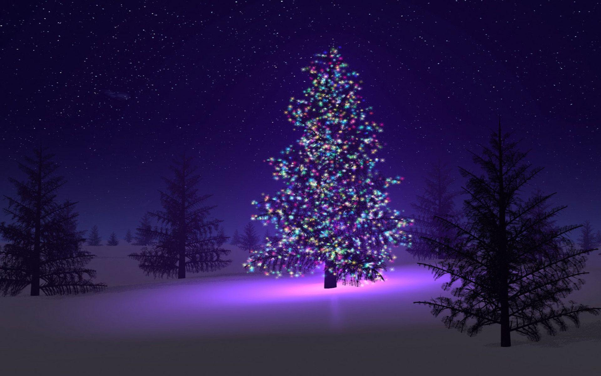 Christmas Tree Free Wallpapers