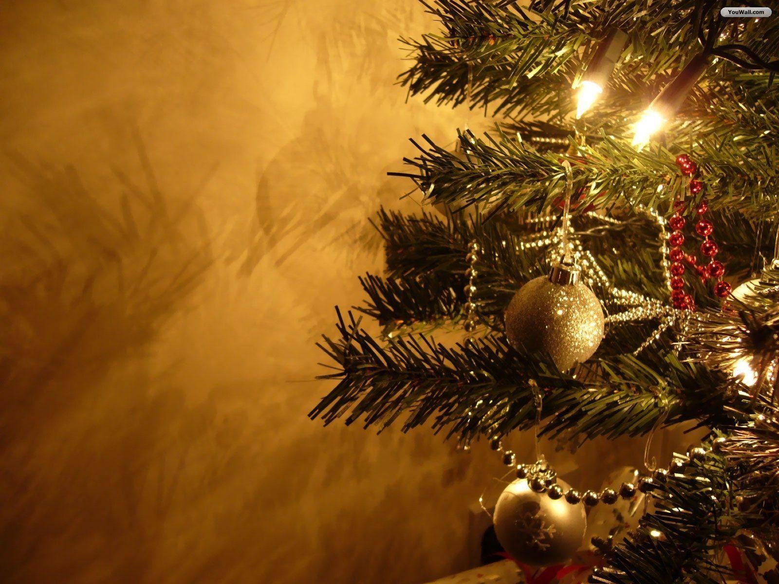 Christmas Tree Free Wallpapers