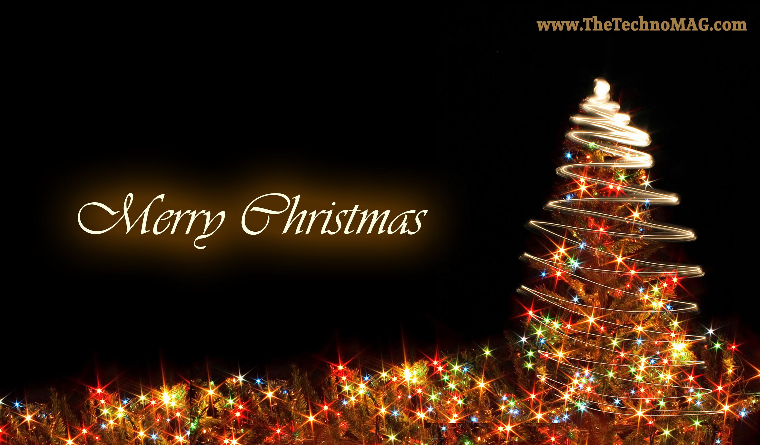 Christmas Tree Free Wallpapers