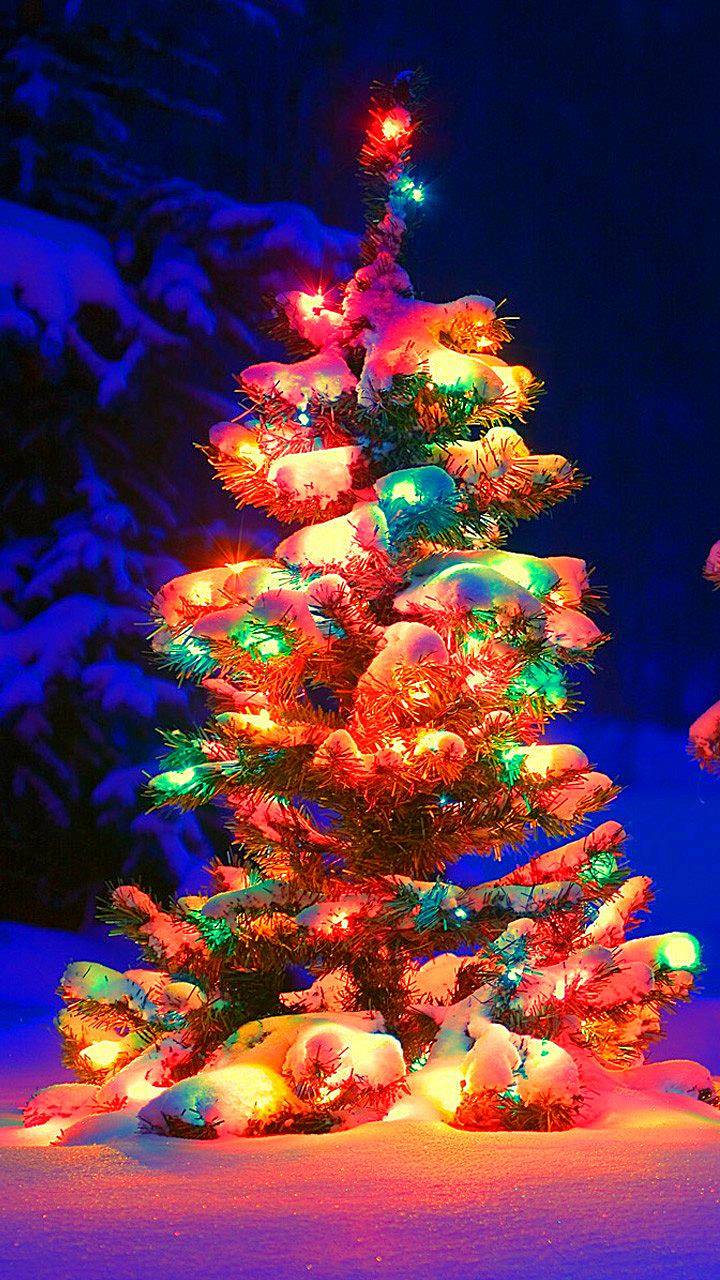 Christmas Tree Iphone Wallpapers