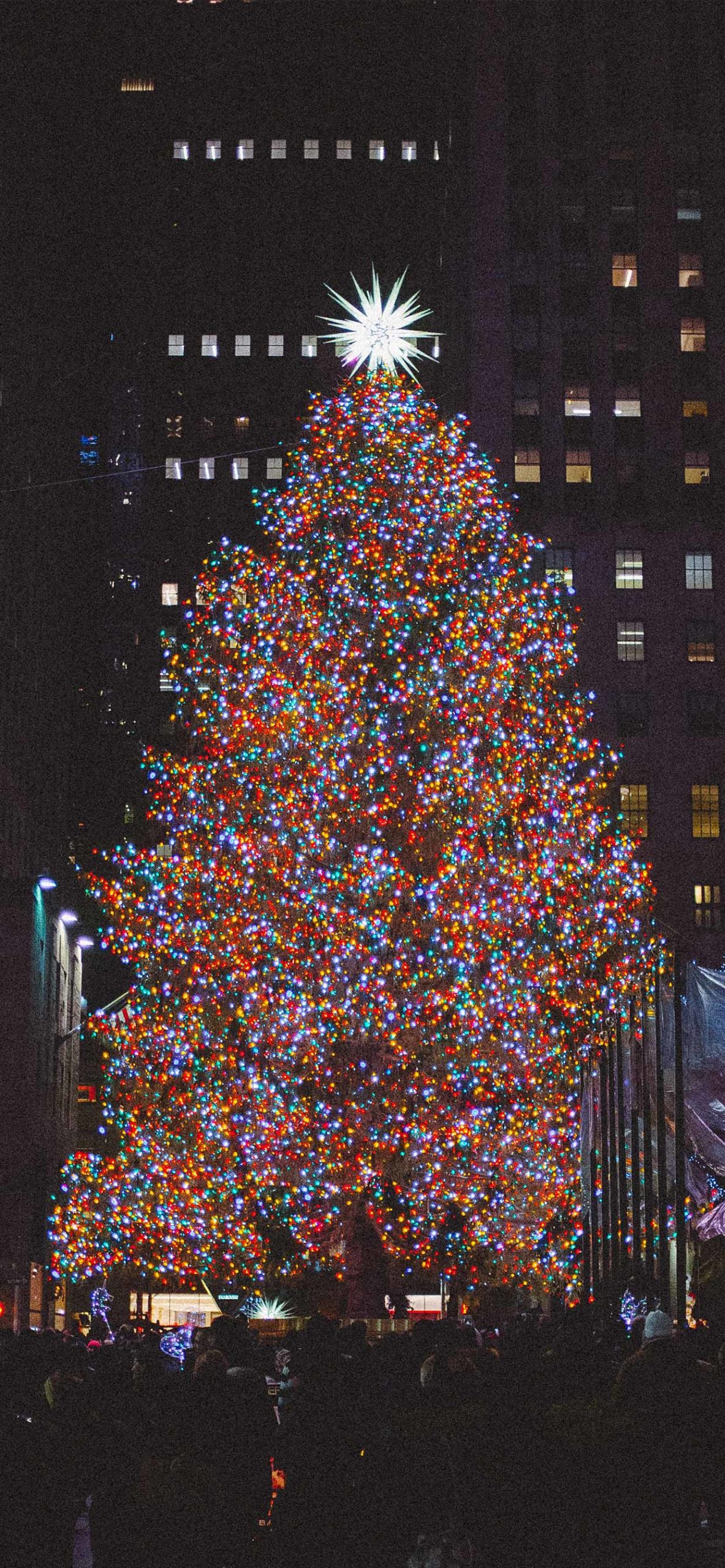 Christmas Tree Iphone Wallpapers