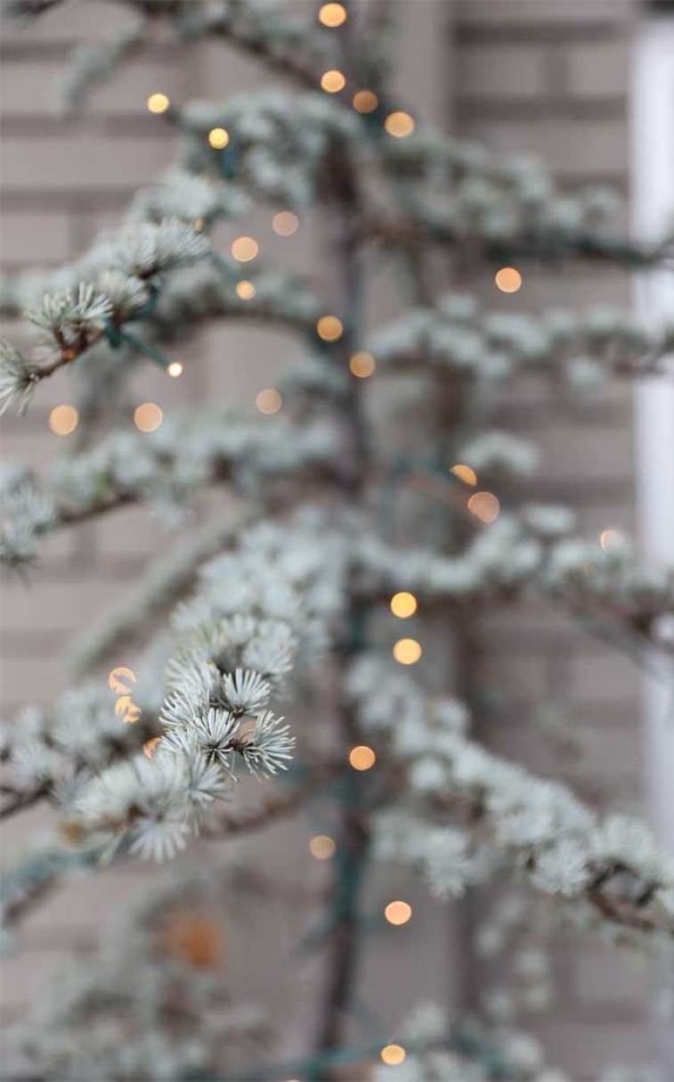 Christmas Tree Lights Backgrounds