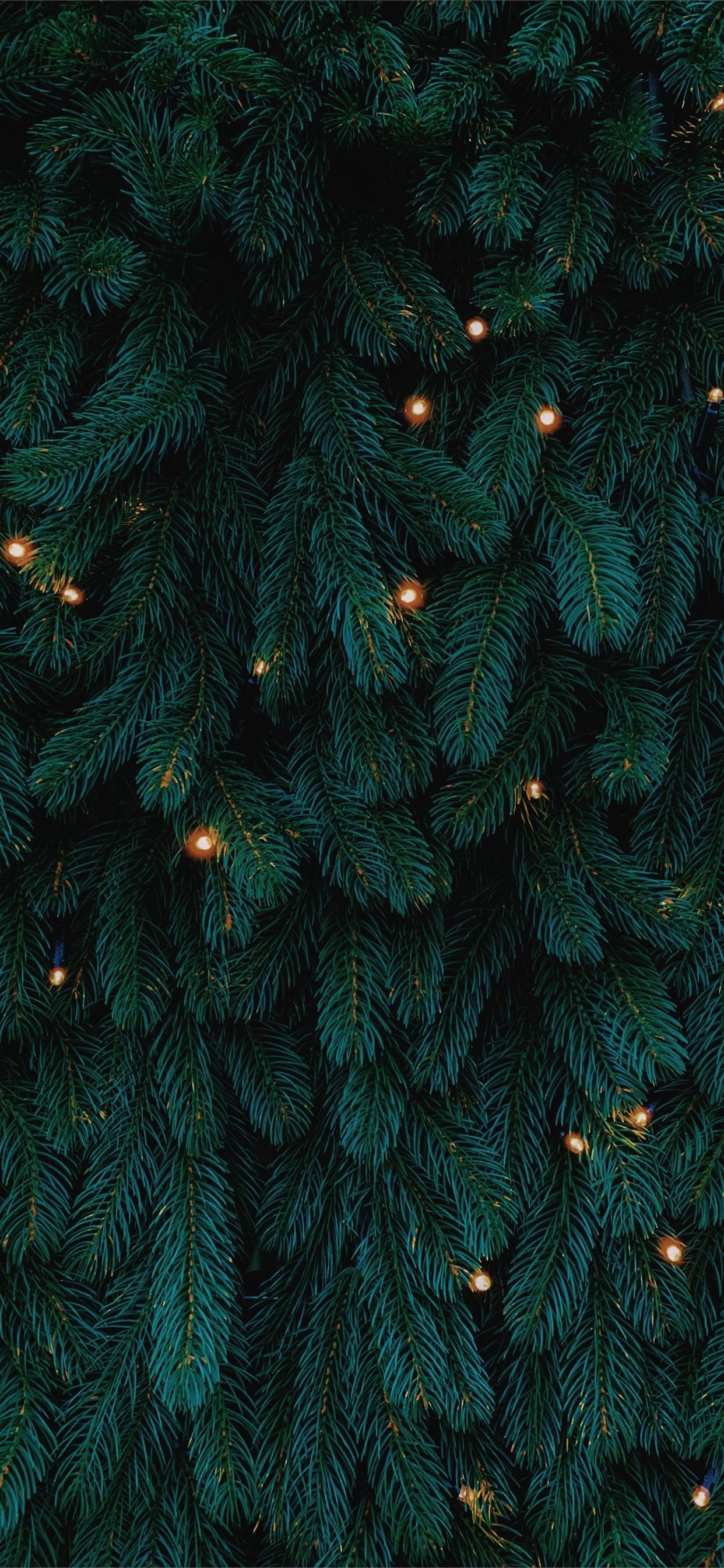 Christmas Tree Lights Backgrounds