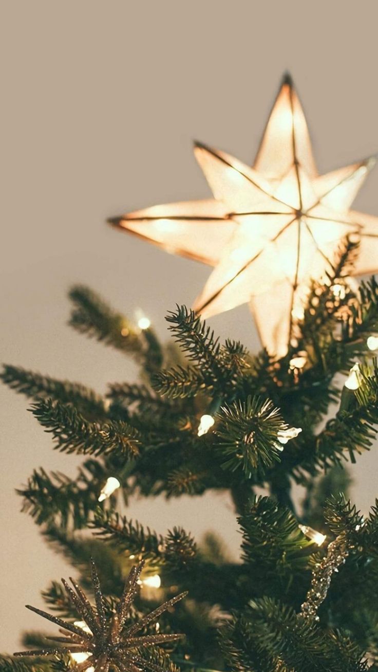 Christmas Tree Phone Wallpapers