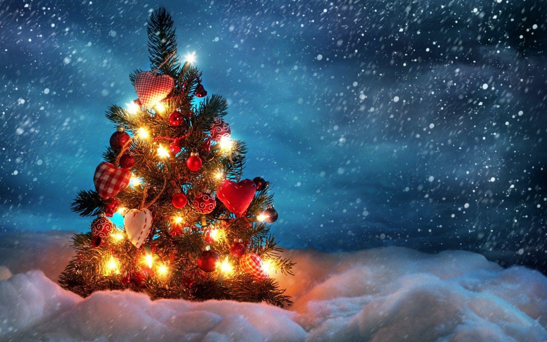 Christmas Tree With Light Decorations Wallpapers