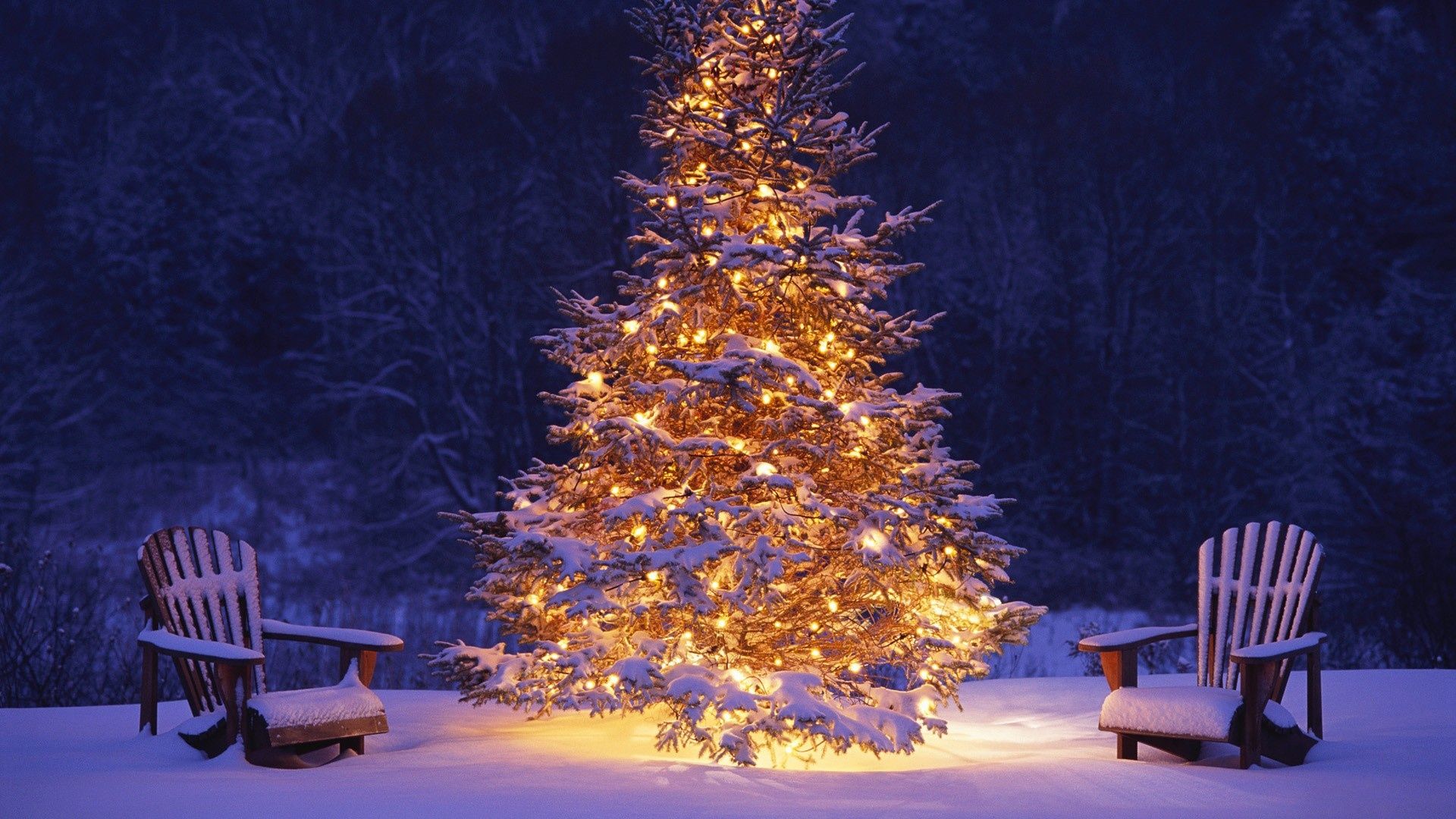 Christmas Tree With Light Decorations Wallpapers