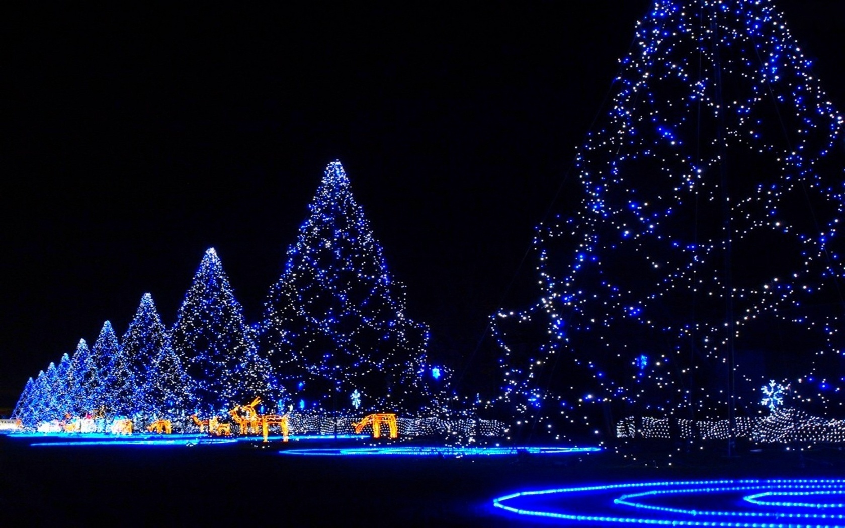 Christmas Tree With Light Decorations Wallpapers