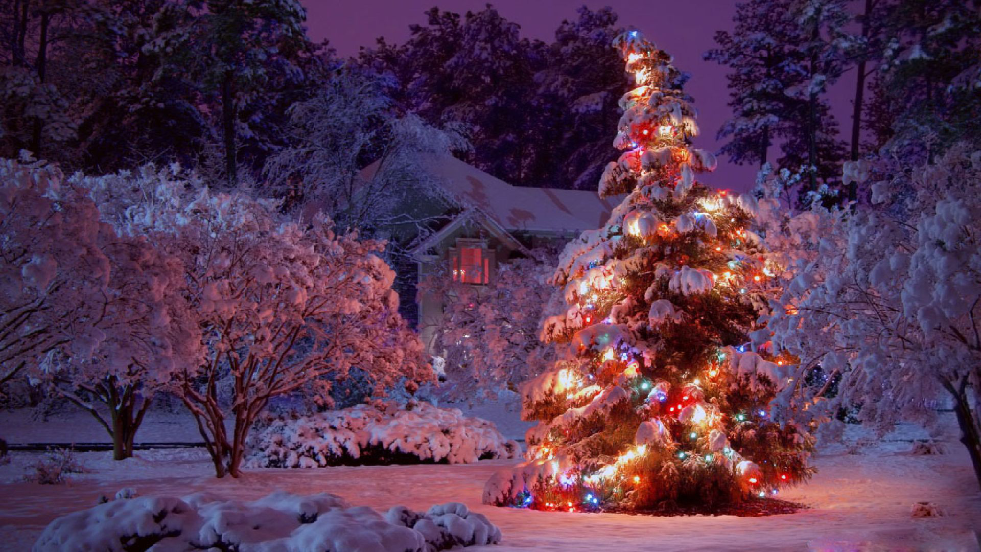 Christmas Tree With Light Decorations Wallpapers