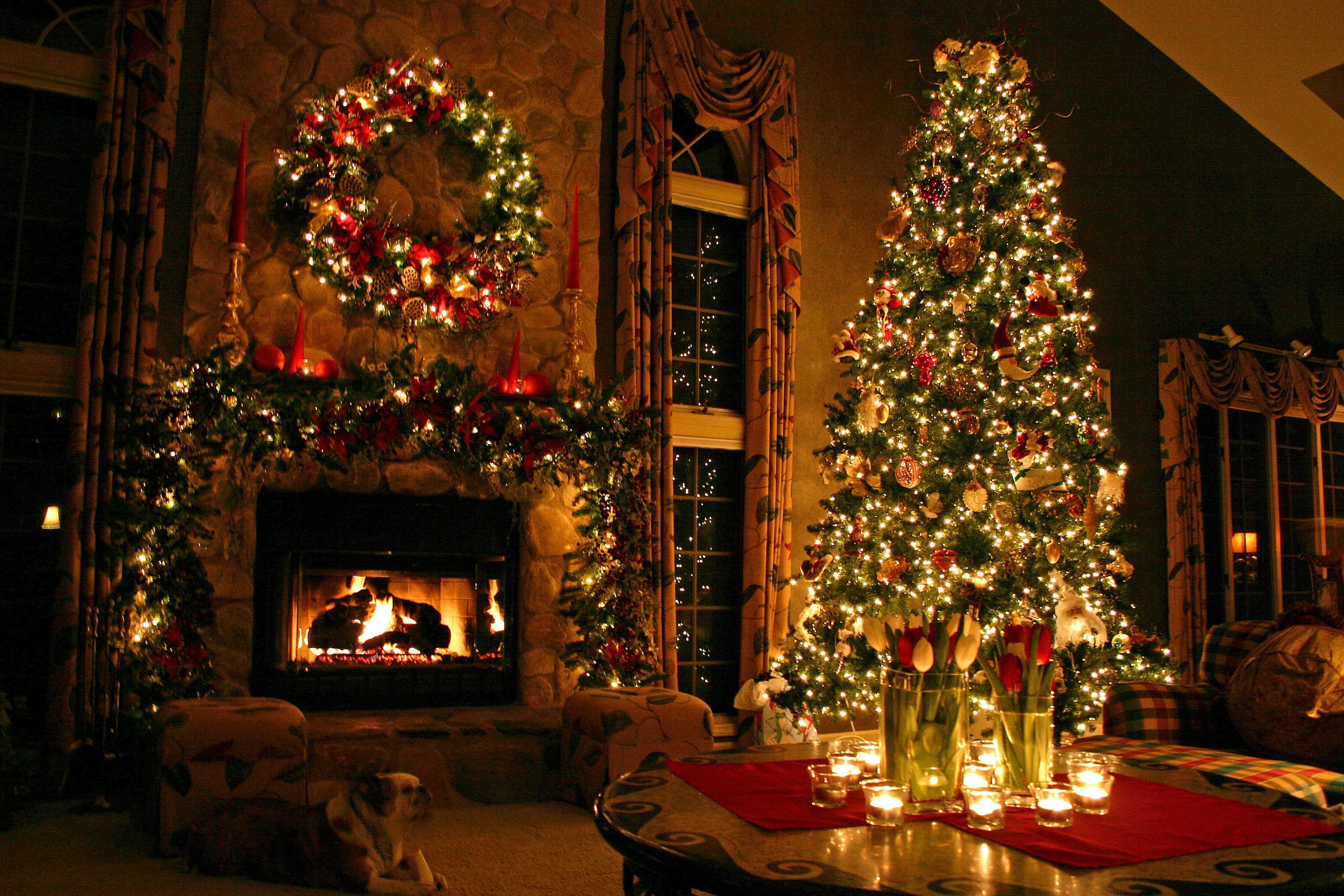 Christmas Trees Wallpapers