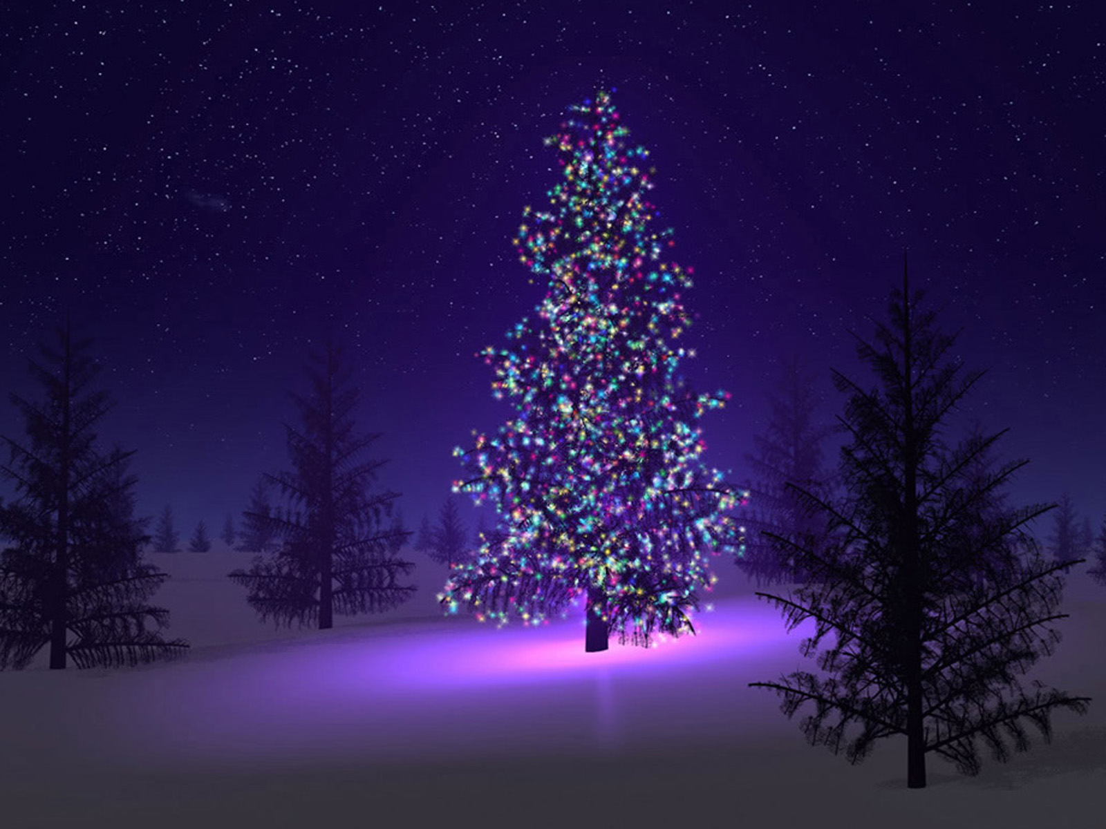 Christmas Trees Wallpapers