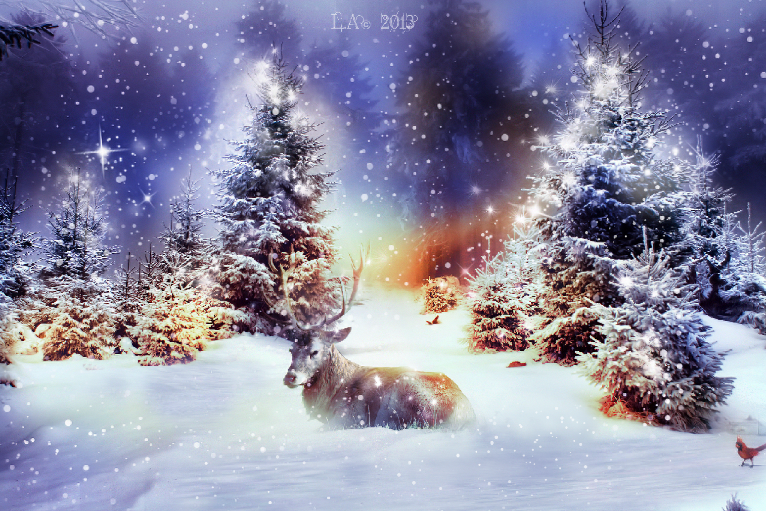 Christmas Wild Animals Wallpapers