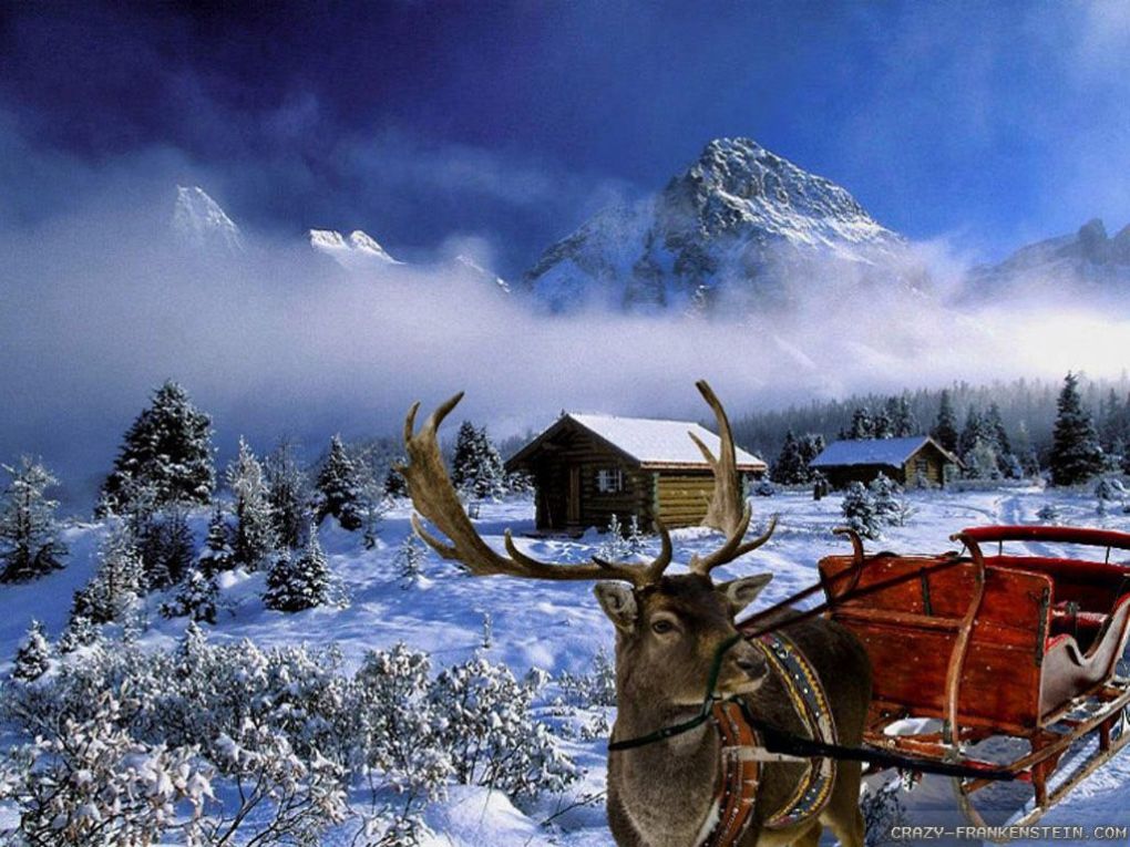 Christmas Winter Scenes Wallpapers