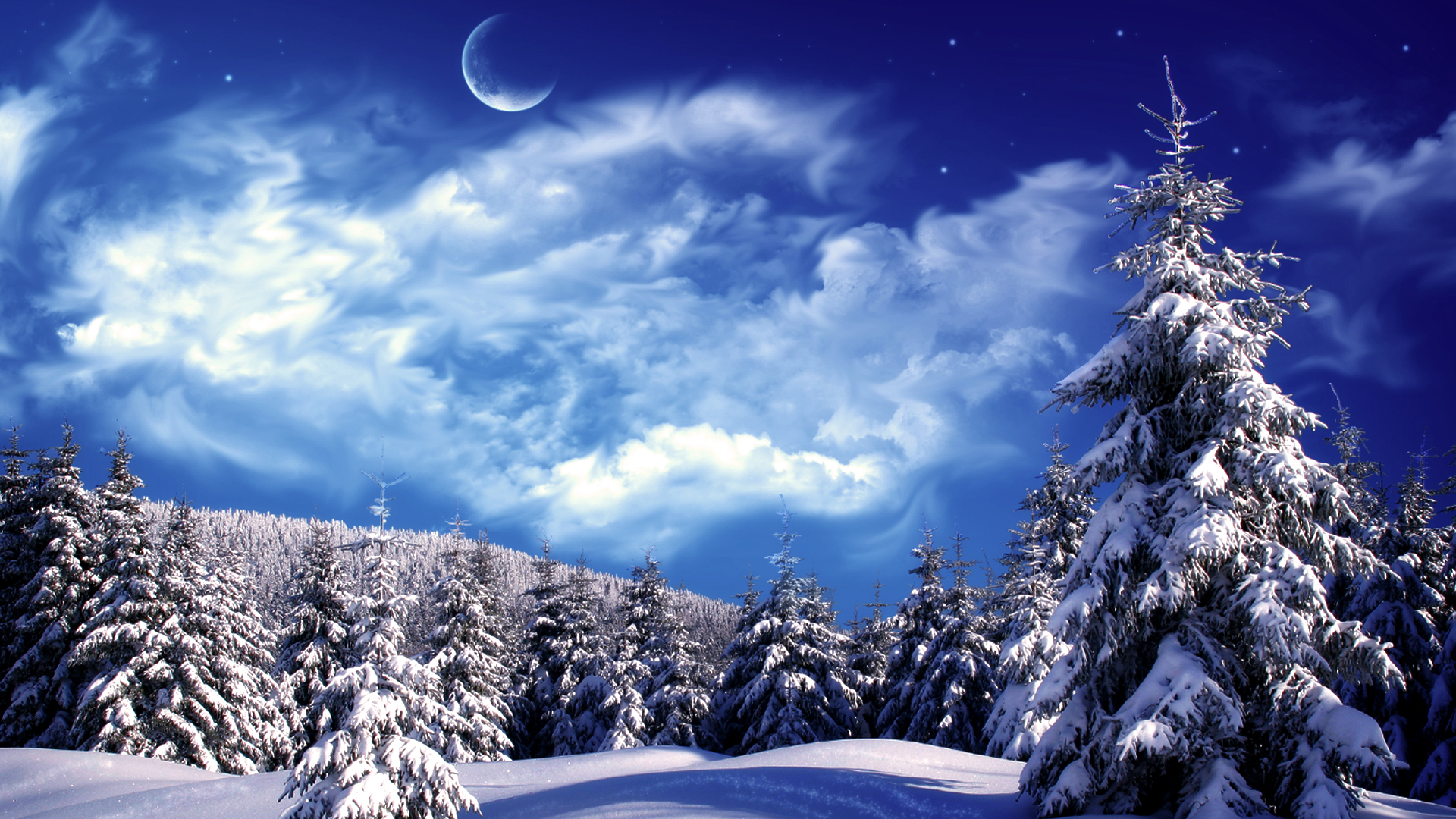 Christmas Winter Wonderland Wallpapers