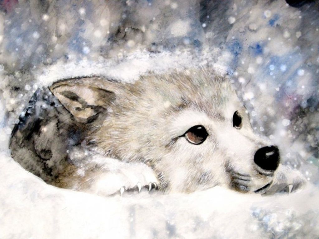 Christmas Wolf Wallpapers