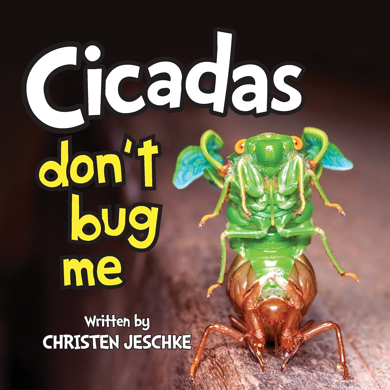 Cicada Dc Comic Art Wallpapers