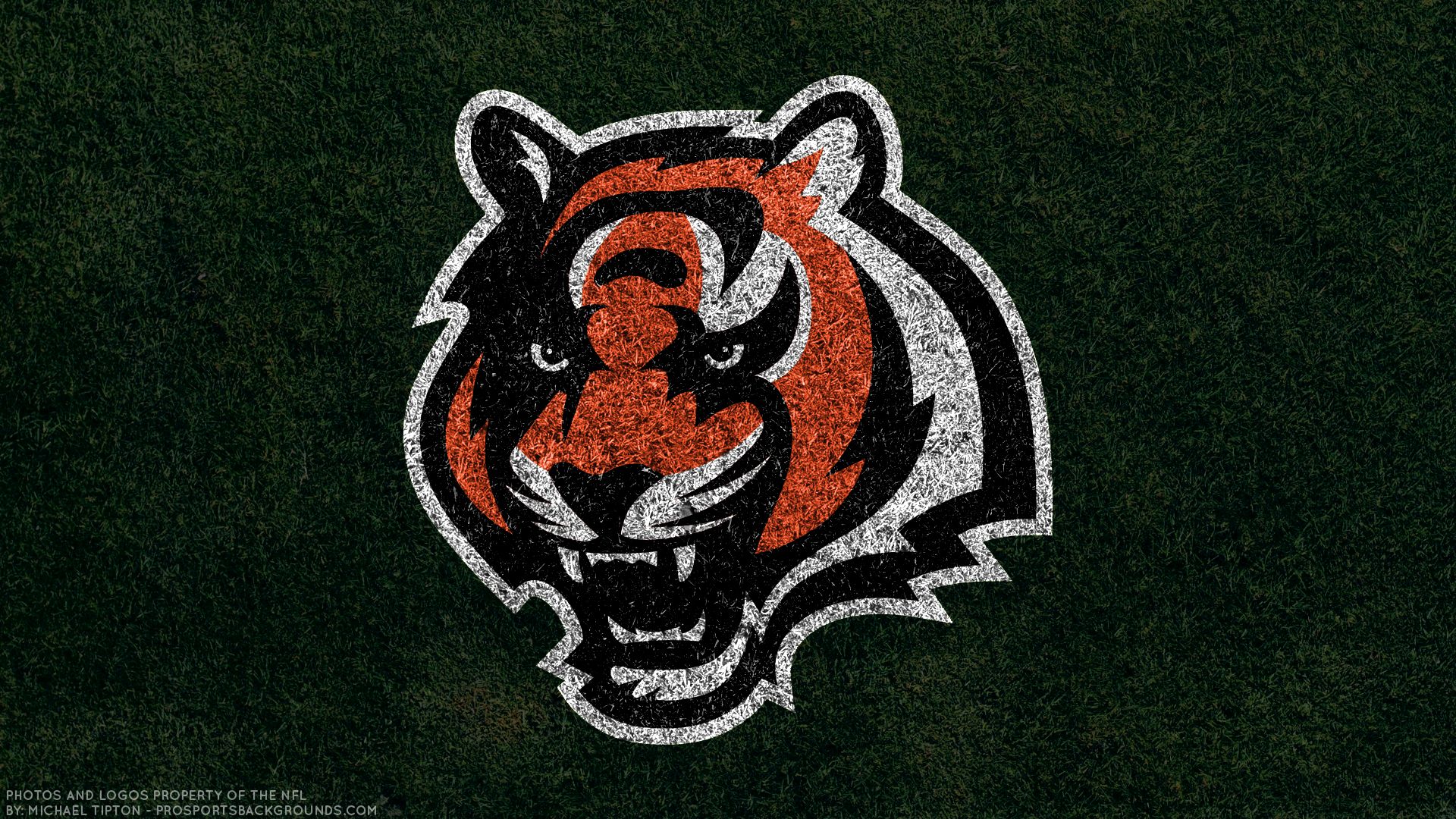 Cincinnati Bengals Screen Savers Wallpapers