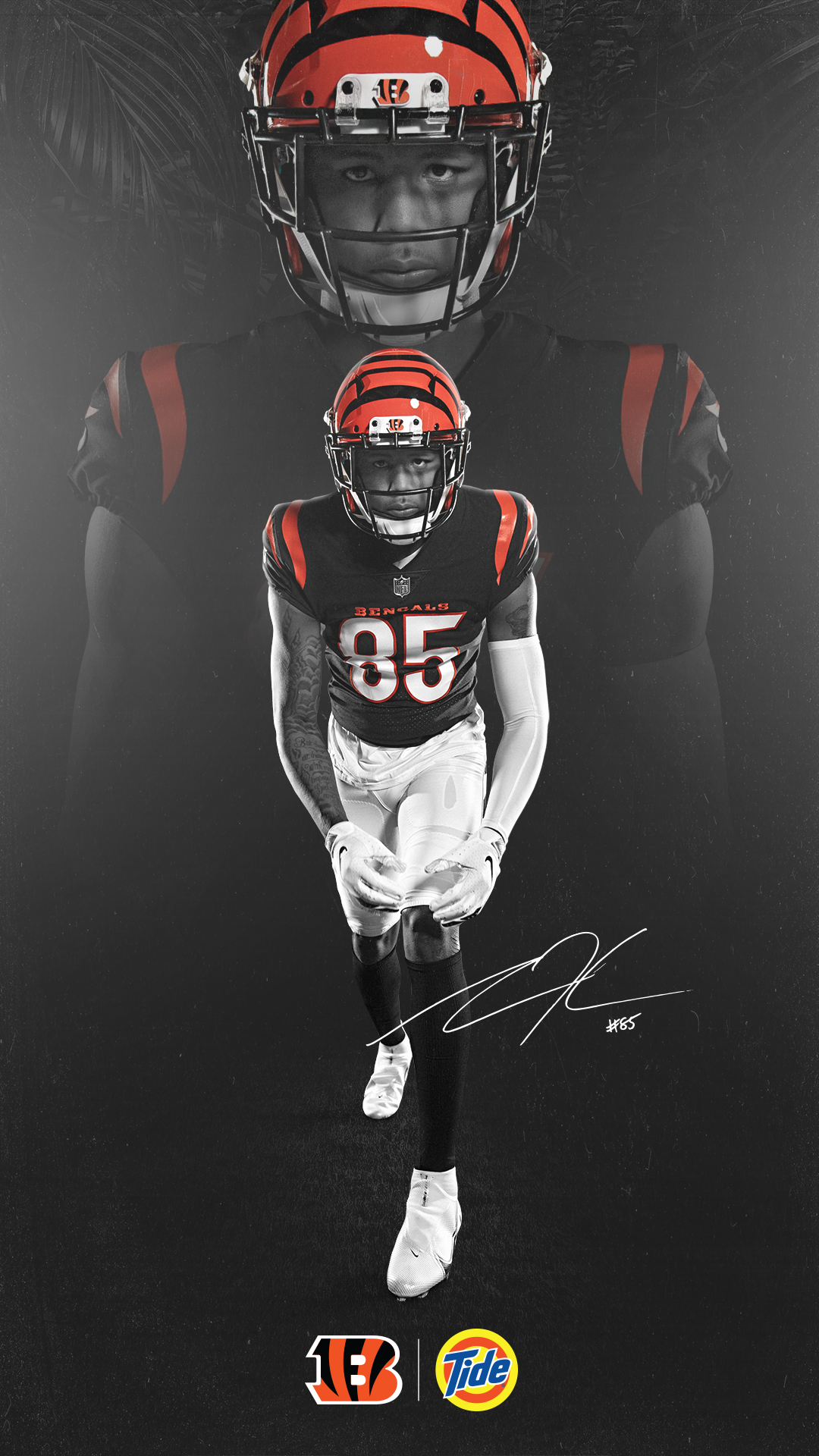 Cincinnati Bengals Wallpapers