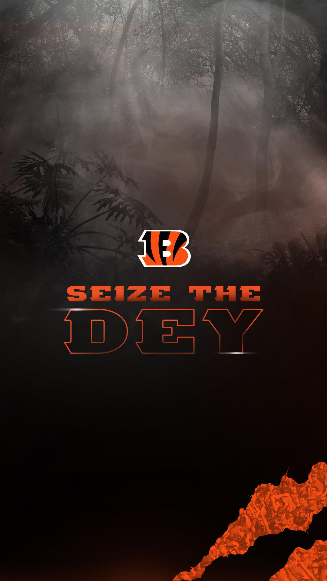 Cincinnati Bengals Wallpapers